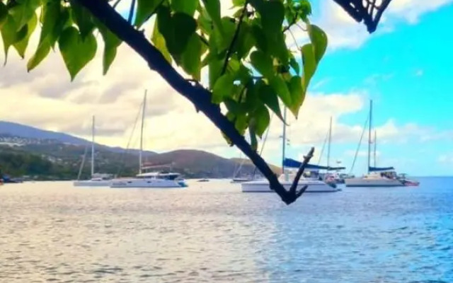 Bungalow Et Duplex de Island Bay