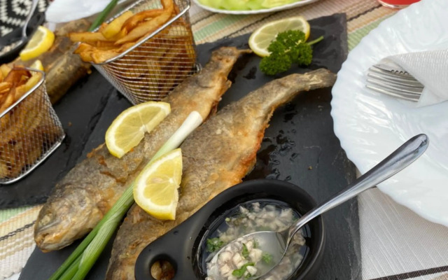 Green Field Apartments