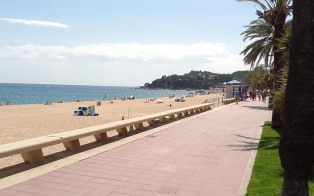 Francisca Beach-City