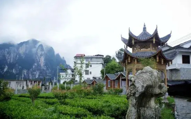Selenium Tea Ecological Garden