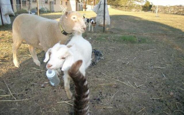Alpine Country Motel
