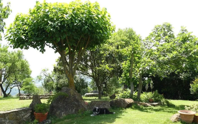 B&B La Casetta Nel Bosco