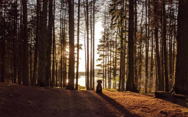 Sandalwood Apartment - Saltburn by the Sea
