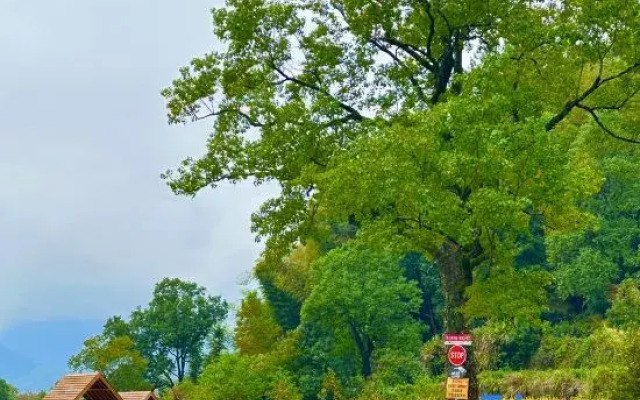 Hongcun Tachuan Academy · daotingxi zhumeisu