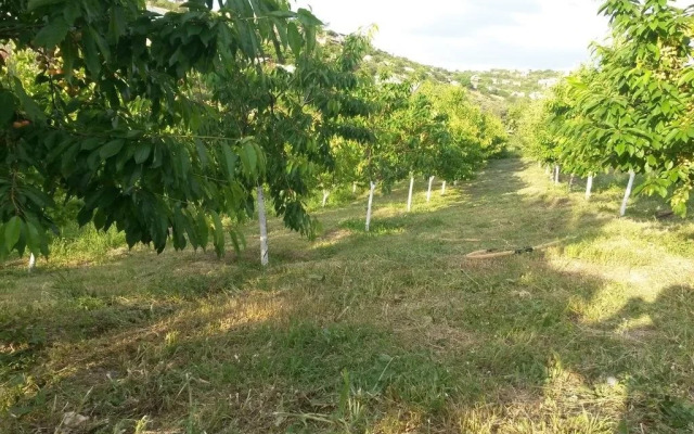 Holiday Home Vodopad