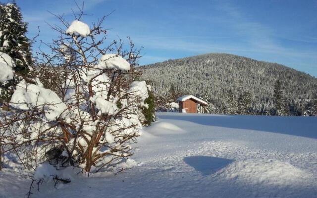 B&B Chalet lEpinette