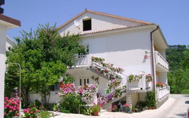 Rezikica - Green Oasis - A2