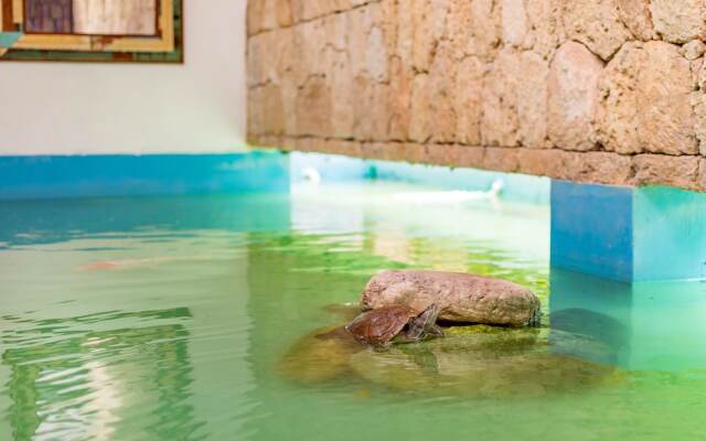 Fantastic villa at Casa de Campo