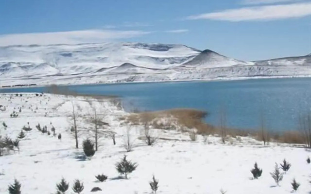 Complexe Collier D'Ambre