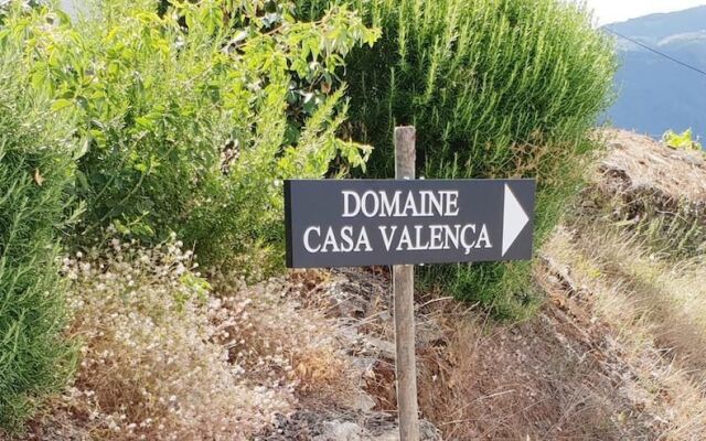 Domaine Casa Valenca