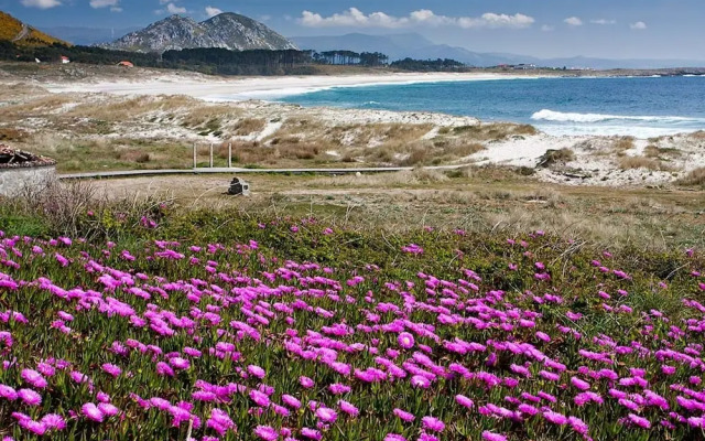 102000 -  Apartment in Lariño