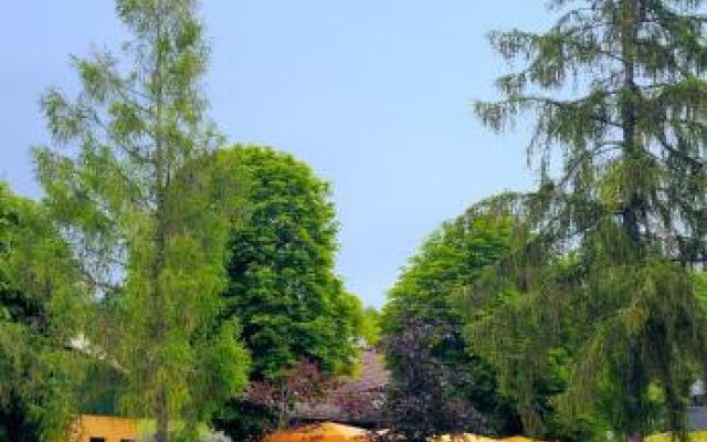 Waldhotel Bad Bibra