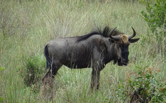 Shakama Private Game Lodge & Spa