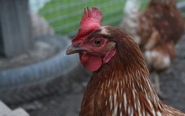 Landhaus Flaschberger