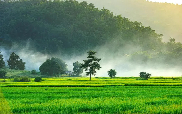 Baan Sin Suk