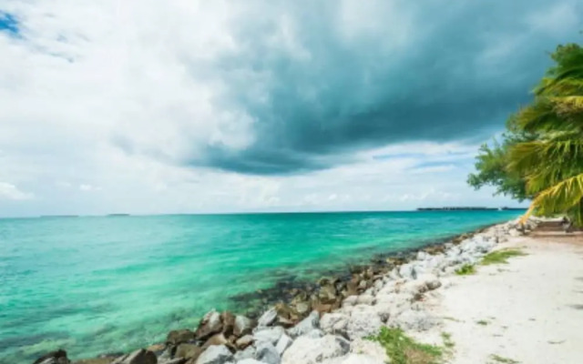 Coral Garden by Avantstay Great Location w/ Balcony & Shared Pool