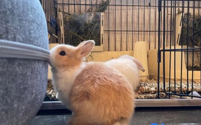 Xianhe Mountain Guesthouse