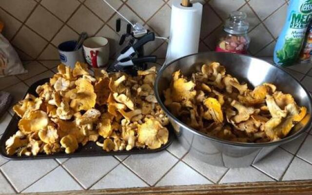 Gite CATHARE en OCCITANIE