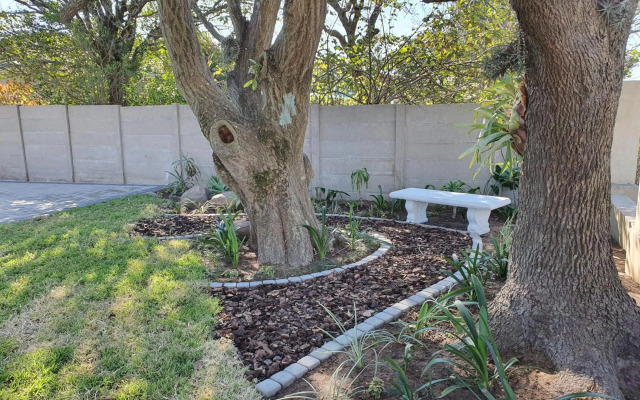 Coral Tree Boutique Guesthouse