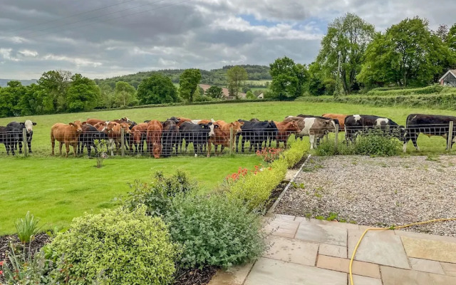 The Cosy Cowshed