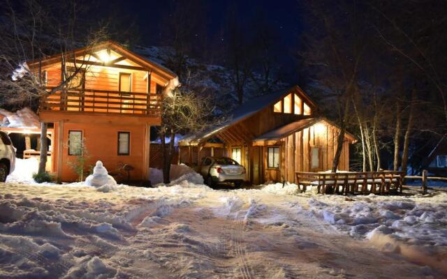 Cabañas Tronco Mayen