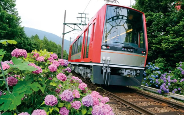 SyunkaSyuutou - Vacation STAY 53638v