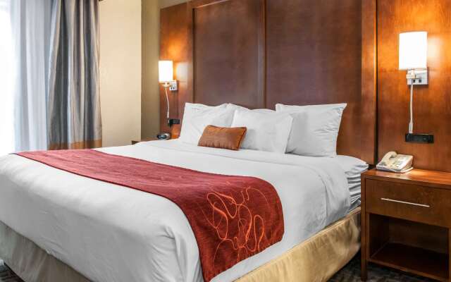 Comfort Suites Vincennes