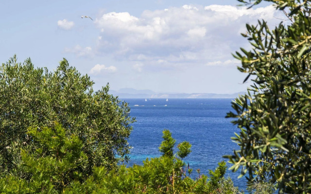 Paxos Blue