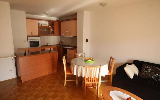 Apartment Svejk