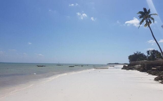 Horizon of Michamvi Beach