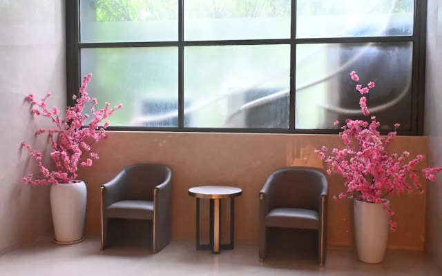Nomadic International  Hostel