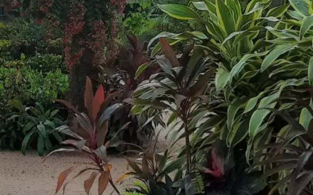 Srilal's Guest House