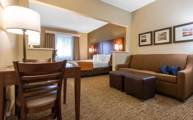 Comfort Suites Rochester Henrietta University Area