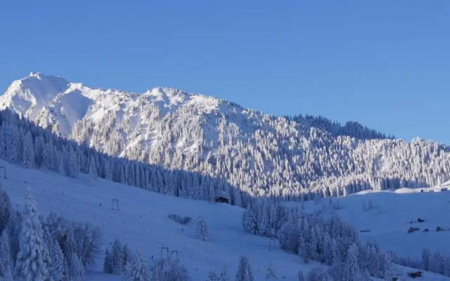 Berggasthaus Arviblick