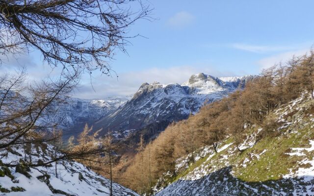 Rowan - Woodland Cottages