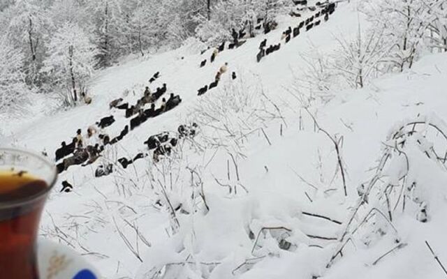 Sirt Yayla Butik Hotel