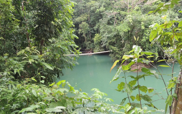 Jacamar Corcovado Drake Day
