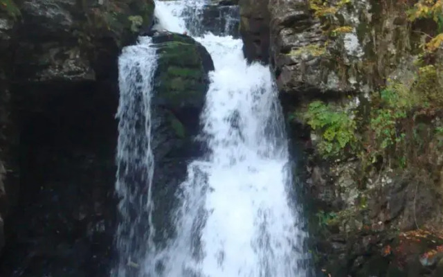 Pensiunea Adi Sapinta