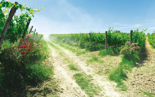 Roccafiore Residenza