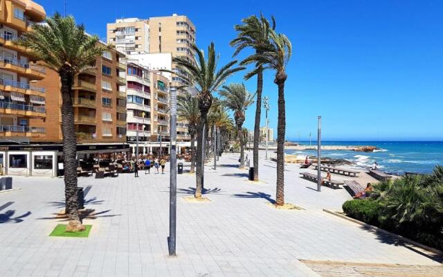 Solmar 33