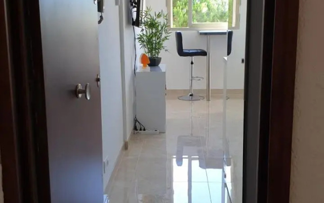 Garden and beach sea view apartment Cannes