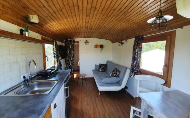 Tisza White House