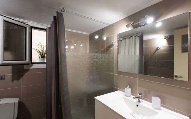 Blue Ark Athenian Nest