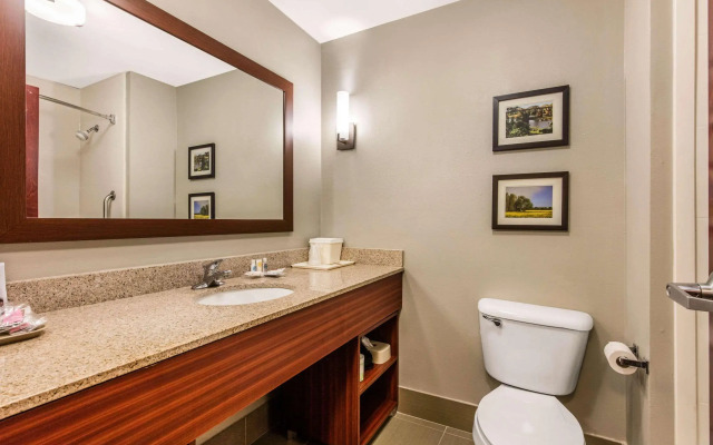 Comfort Suites Tuscaloosa near University