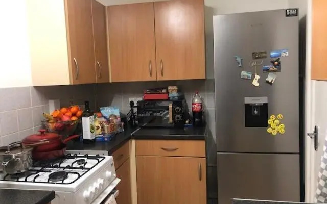 Beautiful Large ROOM in London Flat