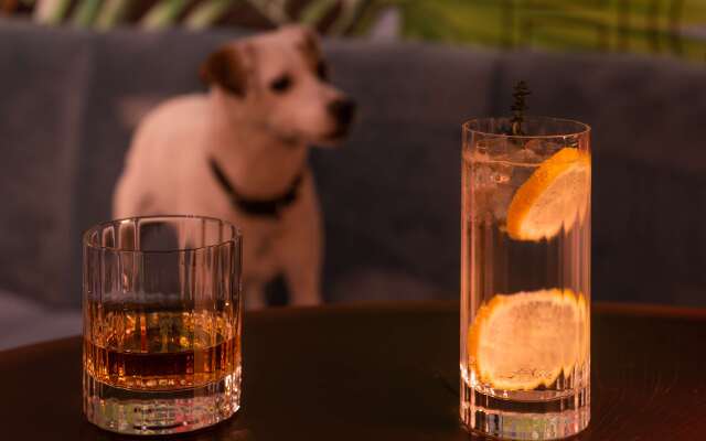 Golden Tulip Opera De Noailles