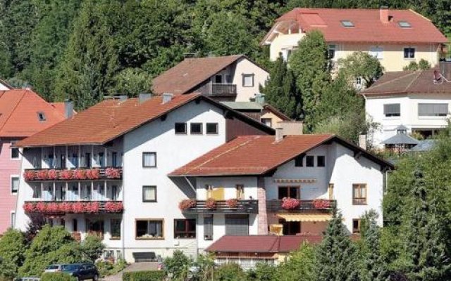 Aparthotel Schwarzwald Panorama