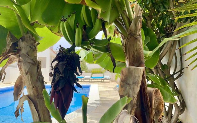 Villa Turquesa 3 Fuerteventura