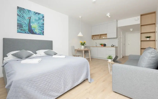 Nocznickiego Studios by Renters