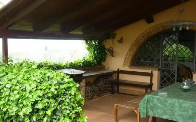 il mandorlo